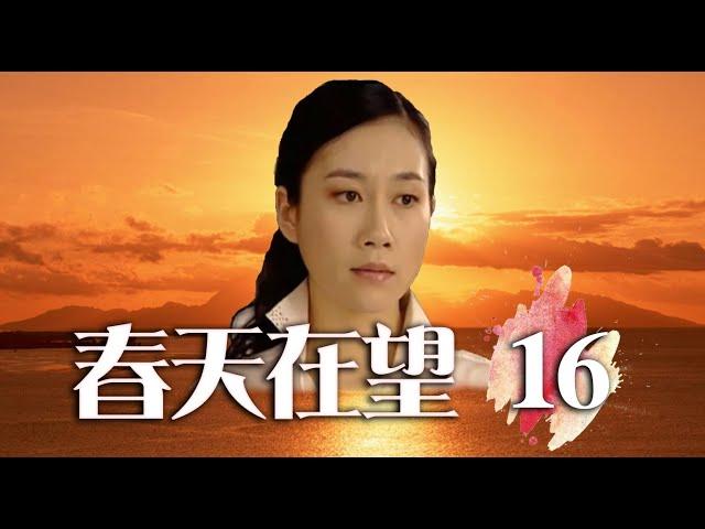 离婚故事探访|《春天在望》第16集（房子斌、姜宏波、温峥嵘、张少华等领衔主演）