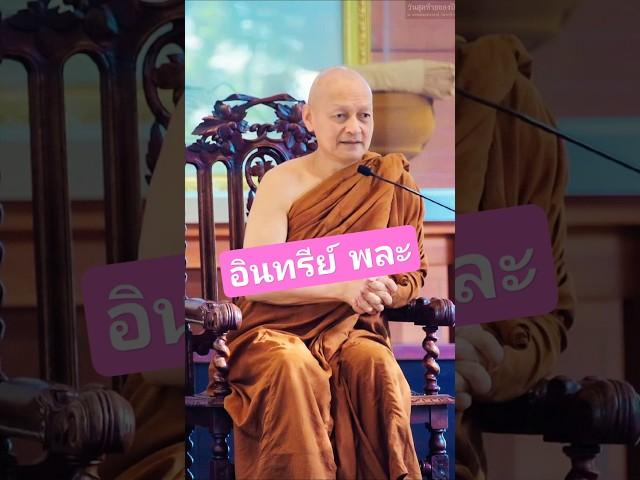 ศรัทธาไหม #ธรรมะ #พุทธวจน #พระอาจารย์คึกฤทธิ์ #วัดนาป่าพง #อินทรีย์  #สาธุ #นกพรทิพย์