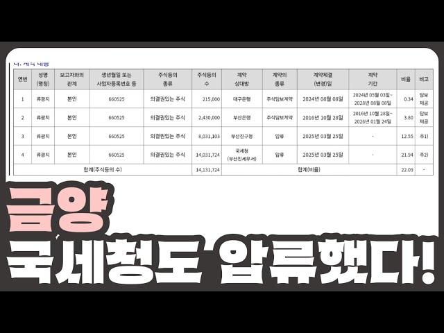 [개잡주] 금양 13편 | 국세청의 추가 압류 | 회생 불가의 길로 가고 있는 금양