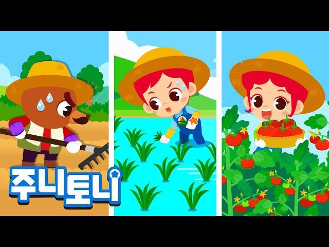 농부‍ | 우리가 매일 먹는 쌀과 과일! 어떻게 자라나요? | 뿌리고, 키우고, 거두고 | 벼농사, 밭농사 | 직업체험 | 직업동요 | 주니토니 | JunyTony