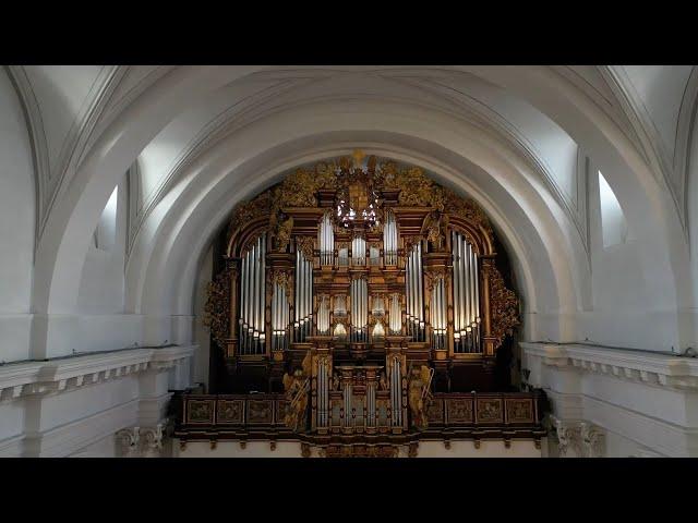 Die große Orgel im Dom zu Fulda - Vorstellung und seltene Einblicke in das Musikinstrument