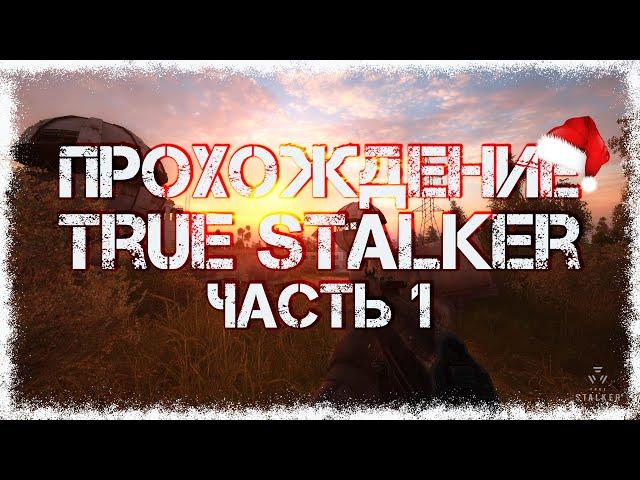 Прохождение True Stalker #1 - Новая вылазка