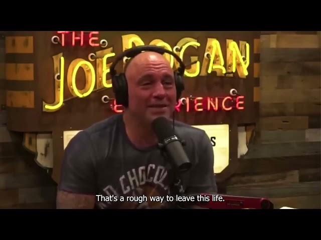 Joe Rogan: THE TRUTH About Regular 9-5 Jobs...