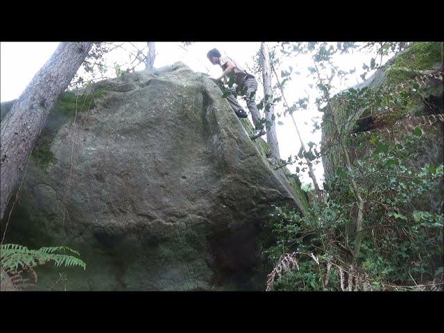 Fontainebleau - Franchard Hauts Sablons - The Last Waffle 7A