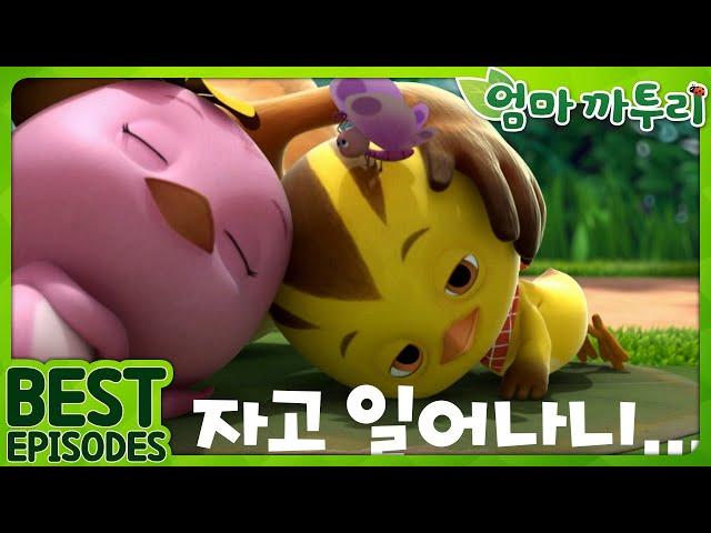 [엄마까투리 Best] 자고 일어나니… | 엄마 까투리 | 까투리 | Katuri | 베스트 에피소드 모음 제95화