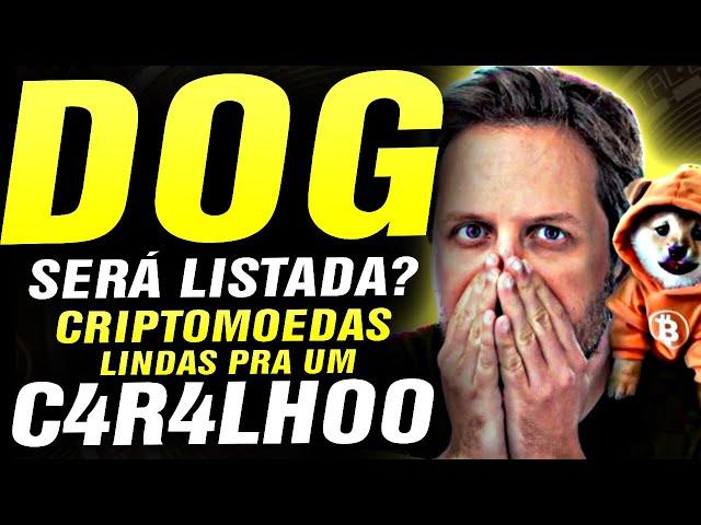  2 CRIPTOMOEDAS LINDAS! CRIPTOMOEDA DOG GO TO THE MOON SERÁ LISTADA NAS CORRETORAS? AUGUSTO BACKES