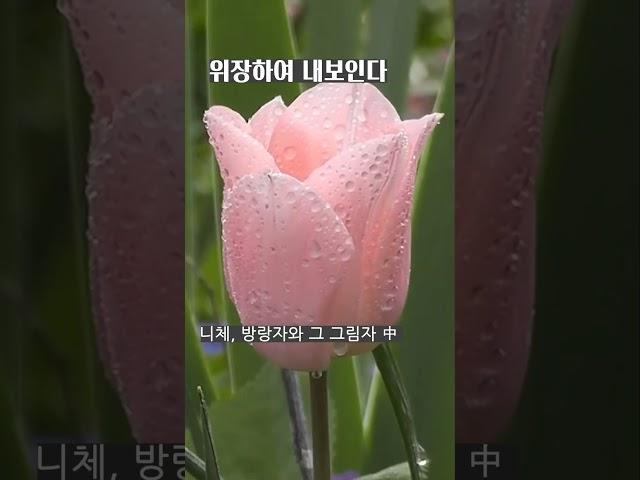 자신의 약점과 결점을 알라