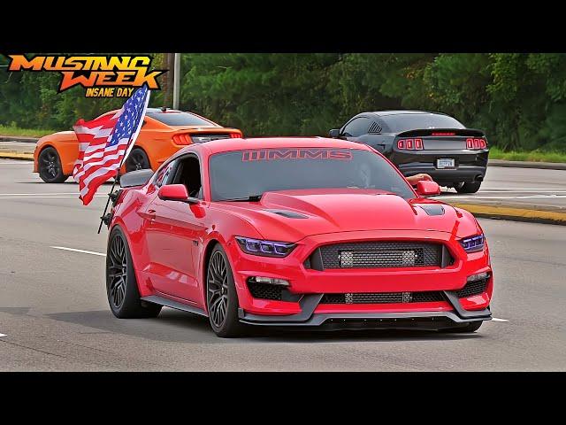 Mustang Week 2024 Car Show Pullouts, Full Sends, & Cops - The Movie!