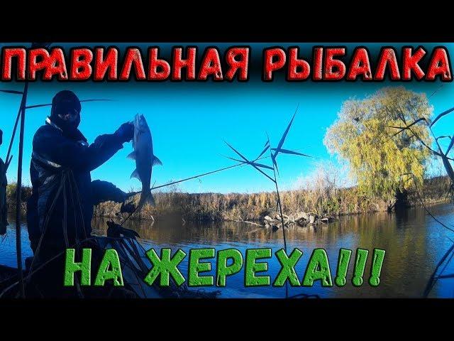 РЫБАЛКА В ОДНОМ ИЗ ЛУЧШИХ МЕСТ ДЛЯ ЖЕРЕХА! АСТРАХАНЬ! ЛОВЛЯ ЖЕРЕХА НА СПИННИНГ! ЛУЧШАЯ БЛЕСНА.