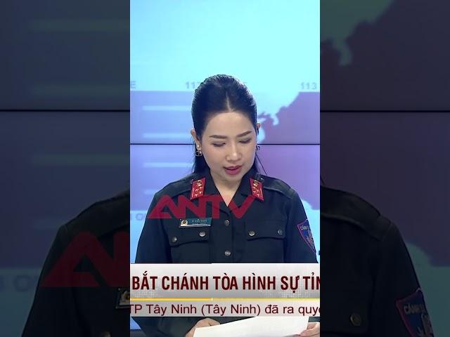 Bắt chánh toà và thẩm phán ở Đắc Lắk tội nhận hối lộ #antv #shorts #tintuc #daklak #tintuc24h