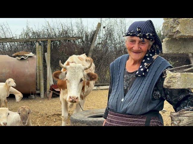 Caucasian Tradition: Tandoori Bread Recipe from the Heart of the Village