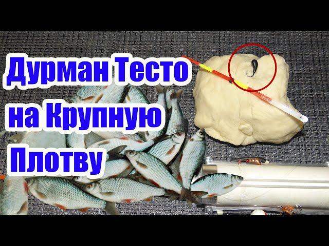 Дурман Тесто на Крупную Плотву.Тесто для плотвы зимой. Самое уловистое тесто для рыбалки