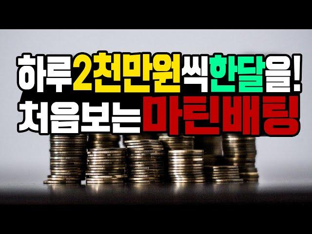 하루 2천만원씩 한달을! 처음보는 바카라 마틴배팅법은??!