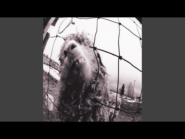 Dissident (Remastered)