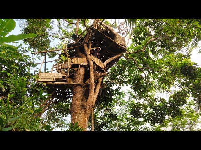 Nekad ‼️ Seorang Pemuda Memilih Tinggal Sendiri Di Rumah Pohon Tanpa Listrik Di Tengah Hutan