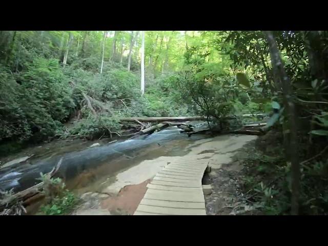 Virtual Treadmill Walking - Trail with Rivers and Waterfalls - Table Rock State Park