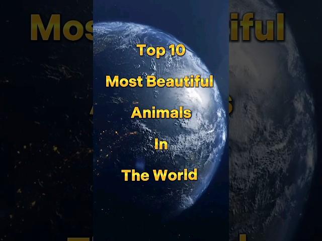 Top 10 Most Beautiful Animals In The World #shorts #viral #ytshorts #animals #beautiful