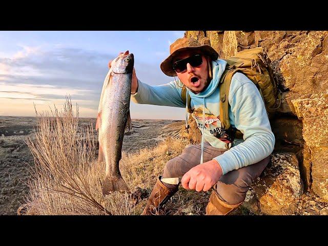 BIG Trout Fishing in a REMOTE Desert Creek!!! (Catch & Cook)