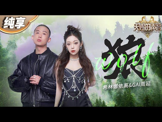 【纯享版】希林娜依高挑战重金属摇滚风舞台！合作GAI周延一曲《狼》将中西方音乐元素完美融合  力量感声线直接点燃全场！#天赐的声音4 EP8