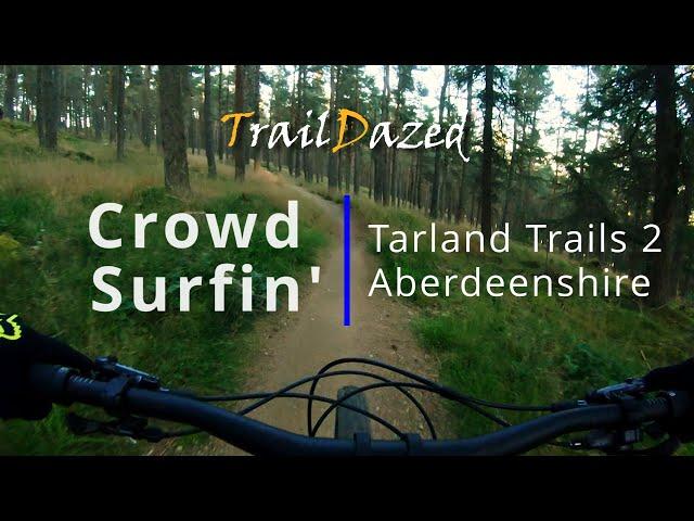 Crowd Surfin' - Tarland Trails 2. Blue flow jump trail