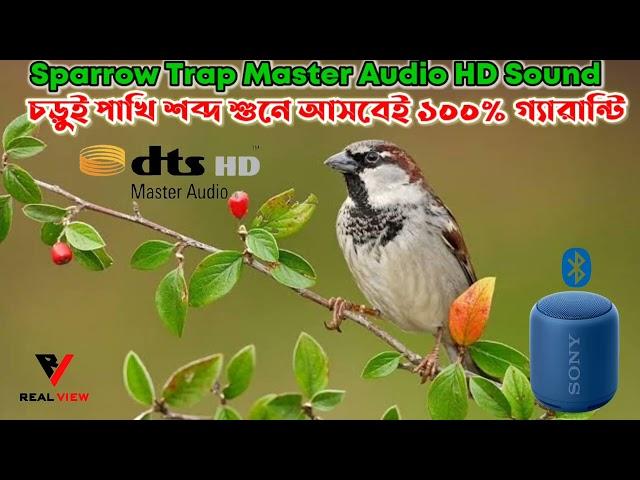 Sparrow Calling Trap Full HD Sound. চড়ুই পাখির ডাক।