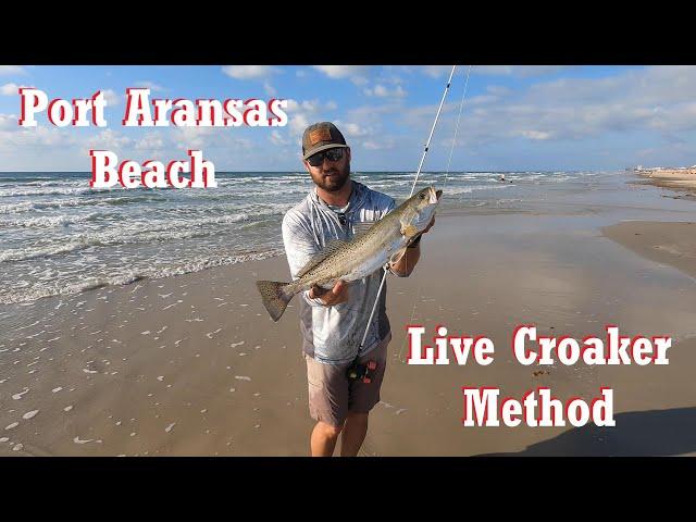 Surf Fishing PORT ARANSAS Beaches! Live CROAKER Method (My Way)