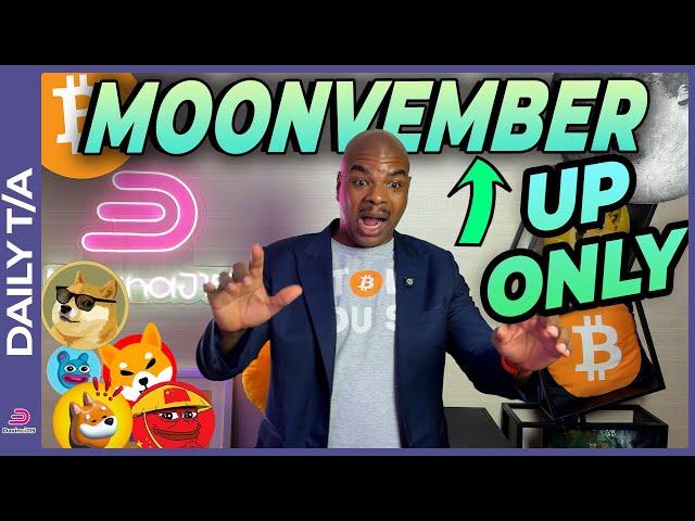 MOONVEMBER: BITCOIN AND MEMES ONLY UP FROM HERE!