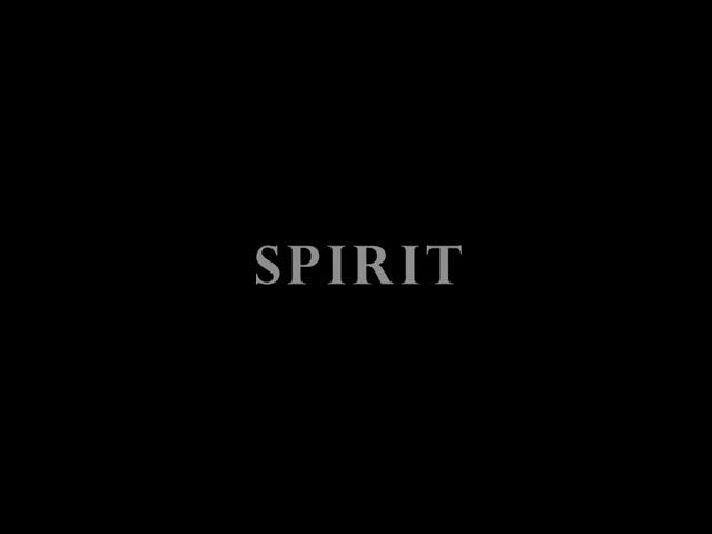 Spirit