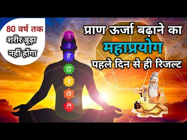 प्राण ऊर्जा कैसे बढ़ाएं || प्राण ऊर्जा बढ़ाने का महाप्रयोग || सांसो का रहस्य #universe #meditation