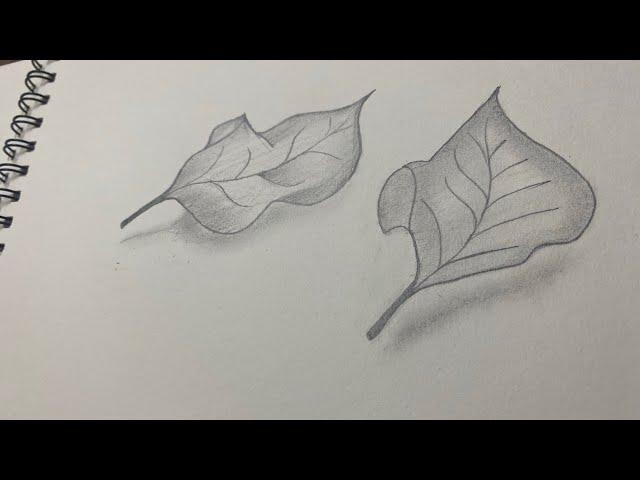 How to draw leaf sketch | How to practice sketch | @AcTvT9 #AcTvT #sketch #drawing #artist