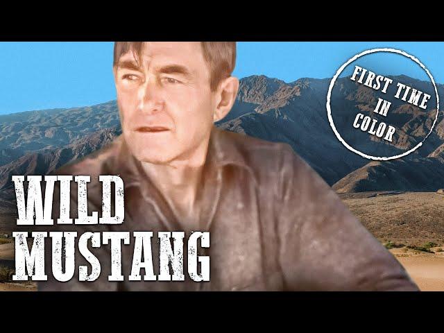 Wild Mustang | Action Western Movie