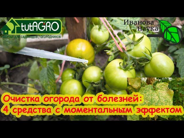 СРОЧНО!! Счёт идет на часы! БОЛЕЗНИ - СТОП! От фитофтороза и пероноспороза 4 моментальных средства.