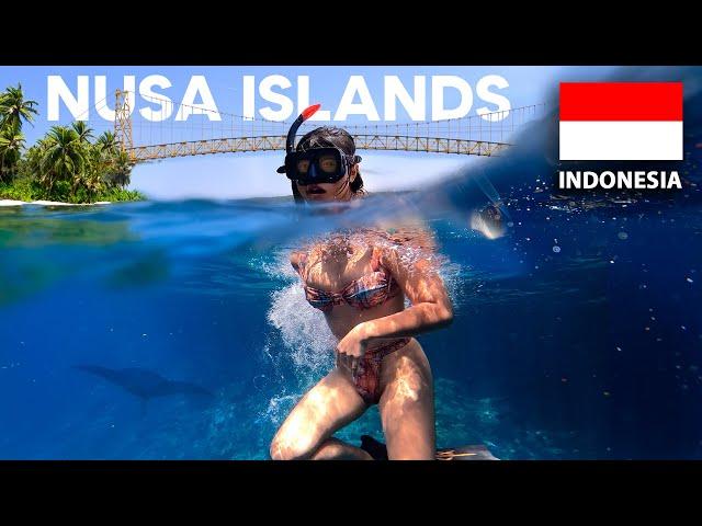 How to Travel the Nusa Islands (Penida, Lembongan, Ceningan)