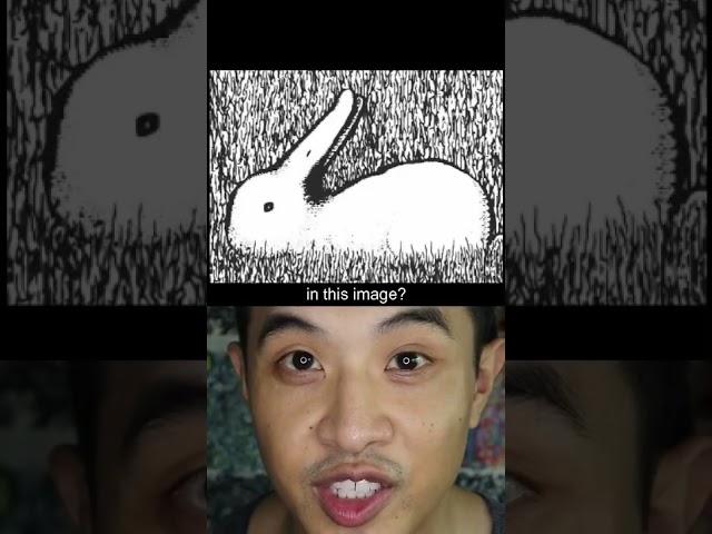 97. Brain Teaser- Duck or Rabbit