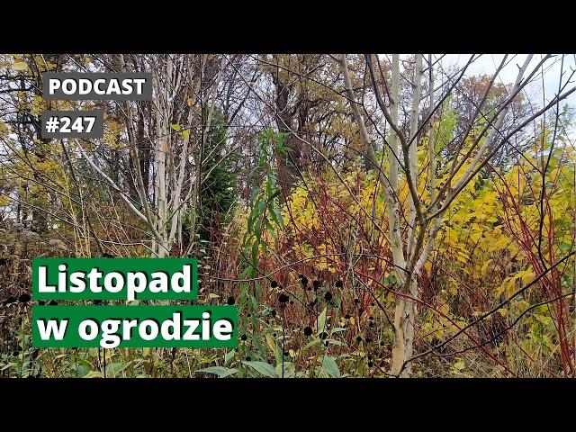 247. Listopad w ogrodzie. Podcast