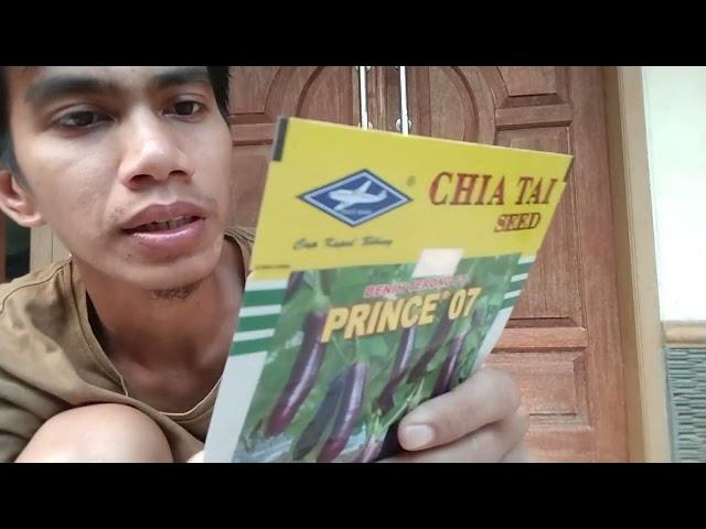 unboxing benih terong prince 07 #viral #petanimuda #petanimilenial #budidayaterong