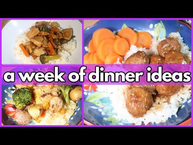 SOME NEW,  SOME TRIED & TRUE | What’s For Dinner? #349 | 1-WEEK OF REAL LIFE MEALS