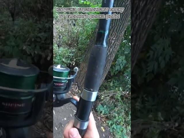 ФРИКЦИОН КАТУШКИ/ ЧТО И ДЛЯ ЧЕГО ОН  #обучающиевидео # РЫБАЛКА