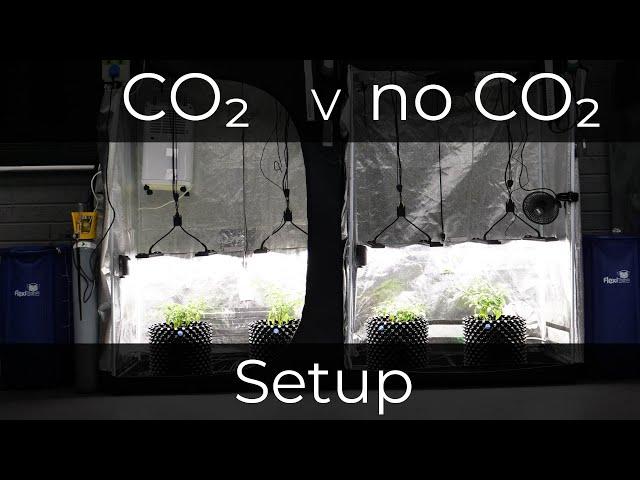 CO₂ Vs no CO₂ grow test