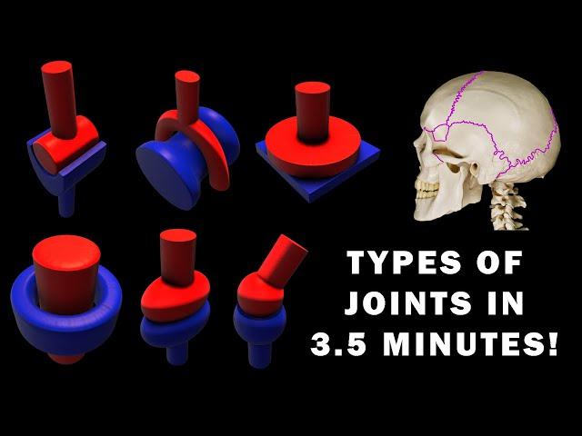 JOINT ANATOMY in 3.5 MINUTES!