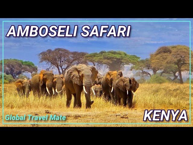 Amboseli National Park Safari Elephants at Kilimanjaro  Kenya