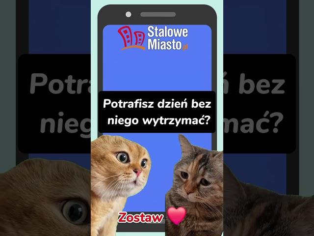 Maniek i Teresa: #Dzieńbeztelefonu Komórkowego #telefon #humor #kociarozmowa #teresa #maniek