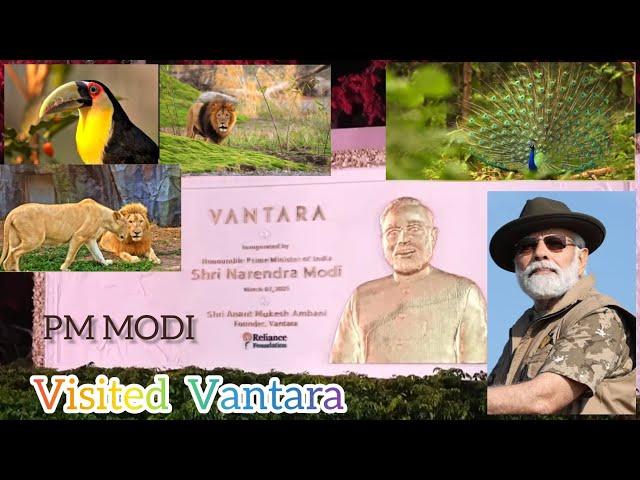 PM Modi inaugurates Vantara in Jamnagar, Gujarat | Reliance Vantara