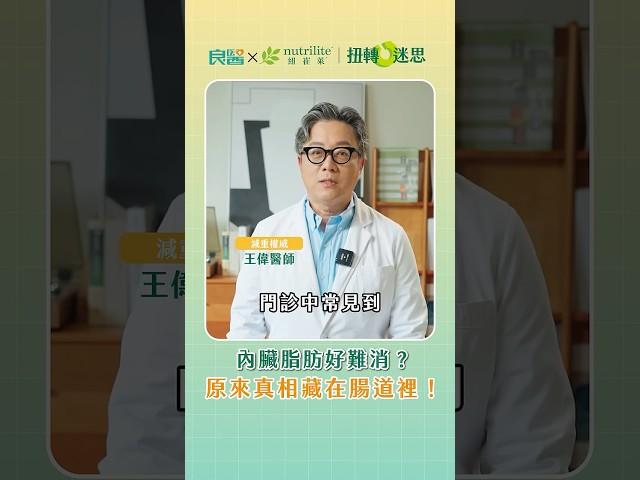 內臟脂肪好難消？原來真相藏在腸道裡！