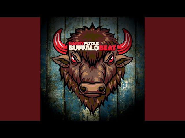 Buffalo Beat