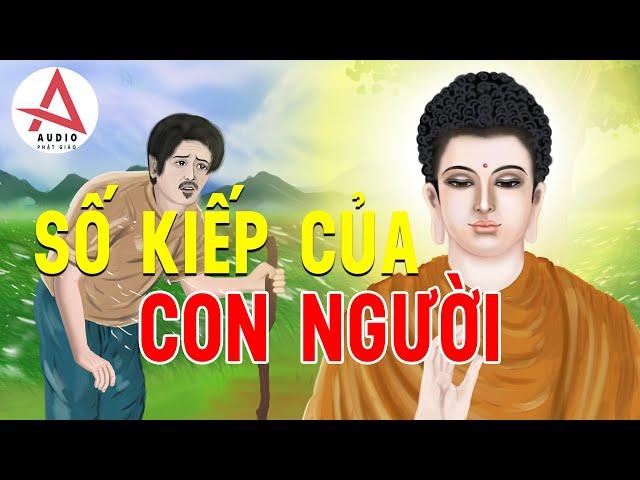 Kể Truyện Đêm Khuya - Câu chuyện phật giáo hay nhất về số kiếp con người, nghe để cải đổi vận mệnh