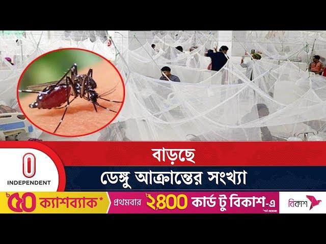 ২৪ ঘণ্টায় ডেঙ্গুতে মৃ ত্যু আরো পাঁচজনের , হাসপাতালে ভর্তি ১১০৭ | Dengue Update | Independent TV