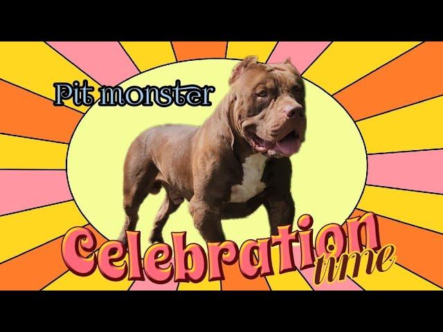 Big Dog  #pitmonsters