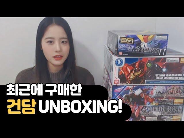 ENG SUB) Unboxing recently purchased Gunplas!  Astray & Sinanju & Aegis & Destiny Gundam