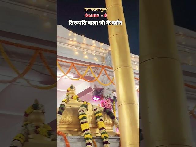 Tirupati Balaji #kumbh #prayagraj kumbh #shortvideo #kumbhmelaprayagraj #travel with amaresh